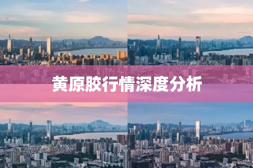 黄原胶行情深度分析
