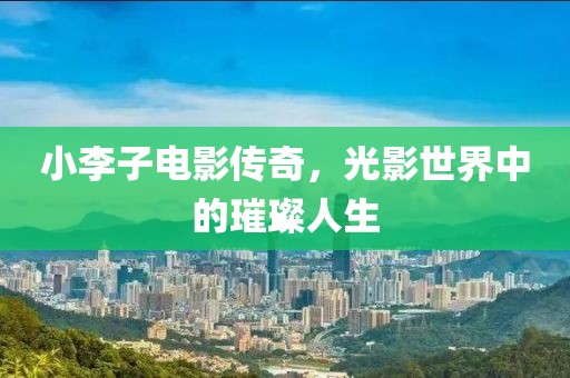 小李子电影传奇，光影世界中的璀璨人生