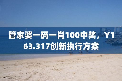管家婆一码一肖100中奖，Y163.317创新执行方案