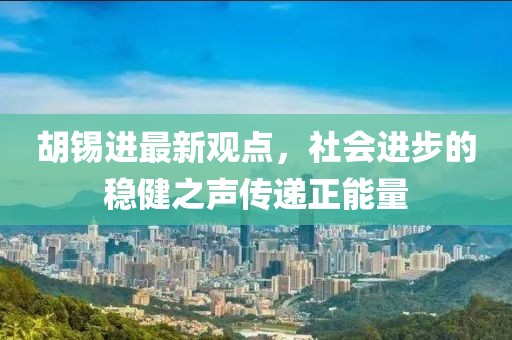 胡锡进最新观点，社会进步的稳健之声传递正能量