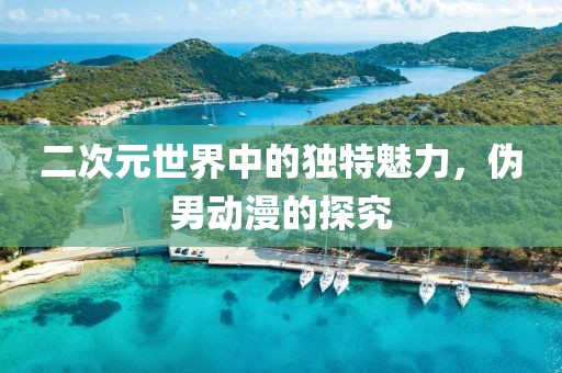 二次元世界中的独特魅力，伪男动漫的探究