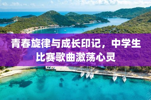 青春旋律与成长印记，中学生比赛歌曲激荡心灵