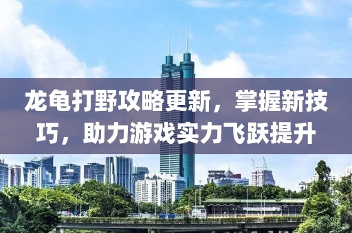 龙龟打野攻略更新，掌握新技巧，助力游戏实力飞跃提升