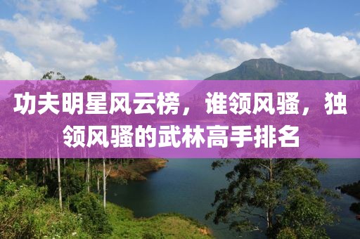 功夫明星风云榜，谁领风骚，独领风骚的武林高手排名