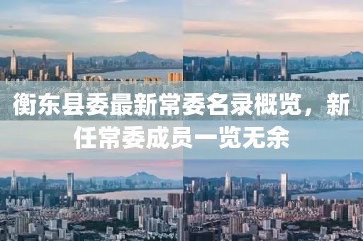 衡东县委最新常委名录概览，新任常委成员一览无余