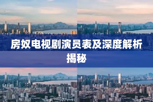 房奴电视剧演员表及深度解析揭秘