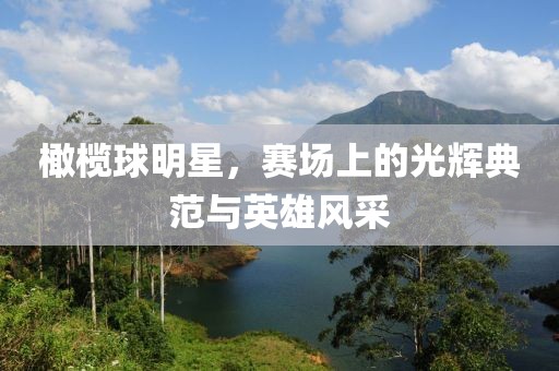 橄榄球明星，赛场上的光辉典范与英雄风采