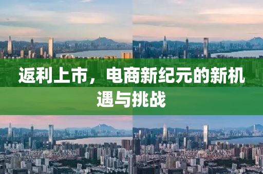 返利上市，电商新纪元的新机遇与挑战