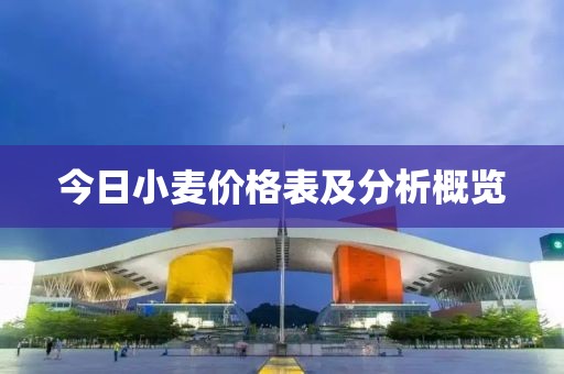 今日小麦价格表及分析概览