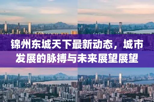 锦州东城天下最新动态，城市发展的脉搏与未来展望展望