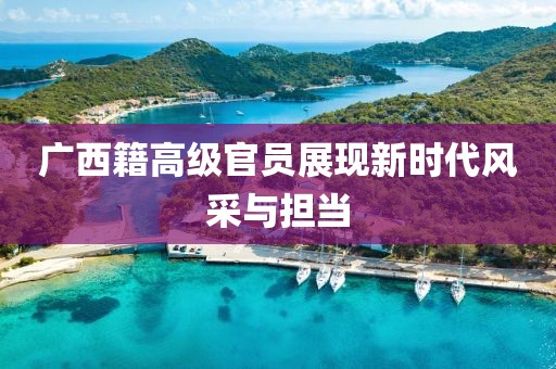 广西籍高级官员展现新时代风采与担当