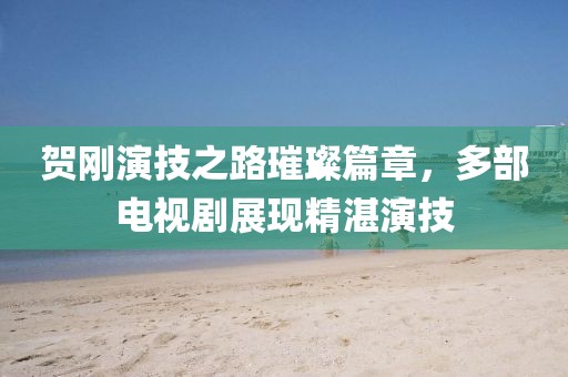 贺刚演技之路璀璨篇章，多部电视剧展现精湛演技