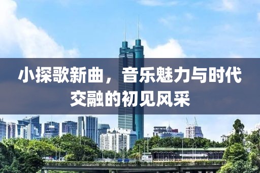 小探歌新曲，音乐魅力与时代交融的初见风采
