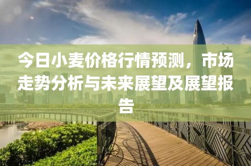 今日小麦价格行情预测，市场走势分析与未来展望及展望报告