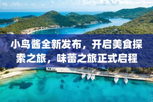 小鸟酱全新发布，开启美食探索之旅，味蕾之旅正式启程