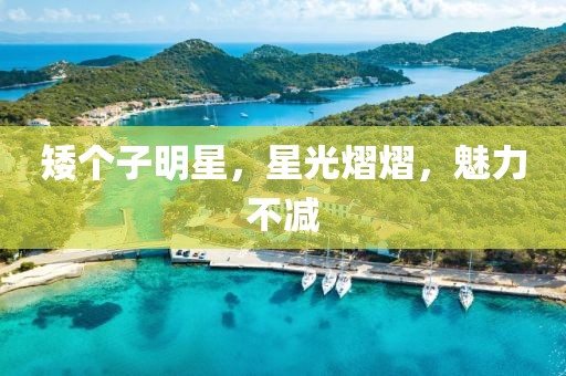 矮个子明星，星光熠熠，魅力不减