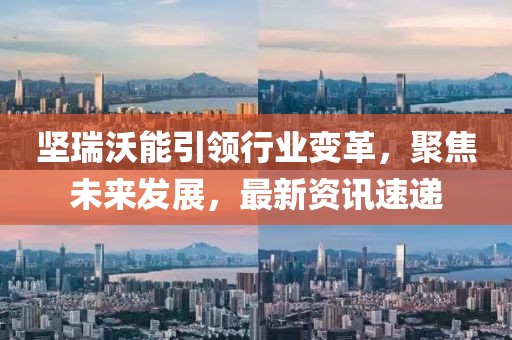 坚瑞沃能引领行业变革，聚焦未来发展，最新资讯速递