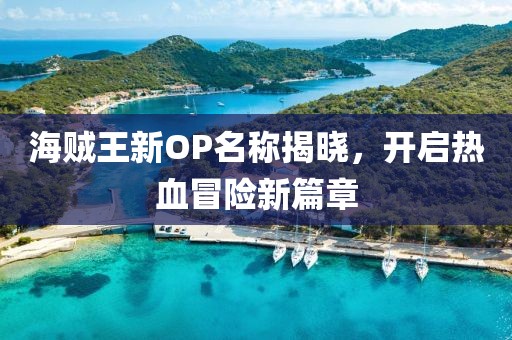 海贼王新OP名称揭晓，开启热血冒险新篇章