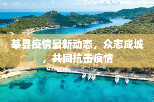 莘县疫情最新动态，众志成城，共同抗击疫情