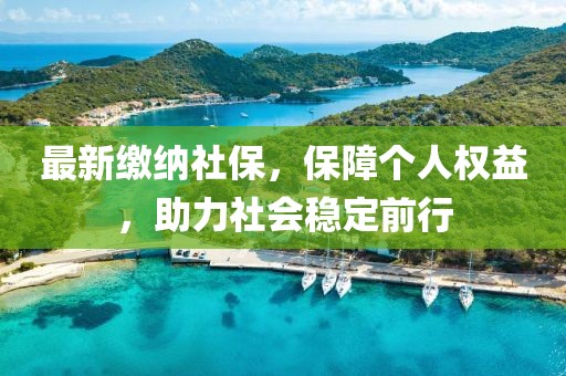 最新缴纳社保，保障个人权益，助力社会稳定前行