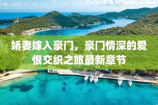 娇妻嫁入豪门，豪门情深的爱恨交织之旅最新章节
