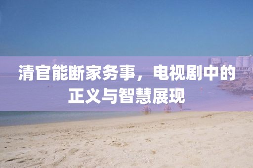 清官能断家务事，电视剧中的正义与智慧展现