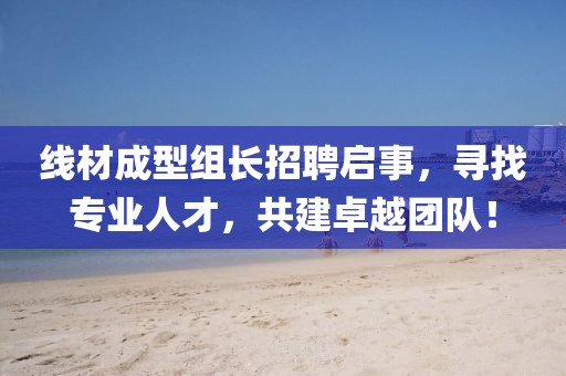 线材成型组长招聘启事，寻找专业人才，共建卓越团队！