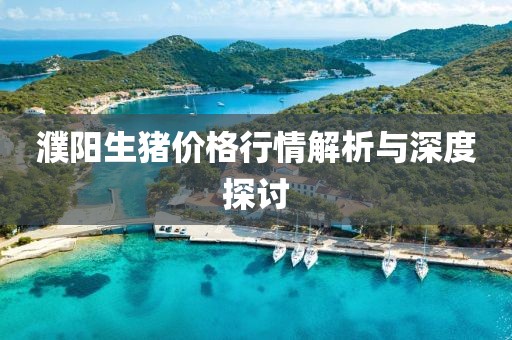 濮阳生猪价格行情解析与深度探讨