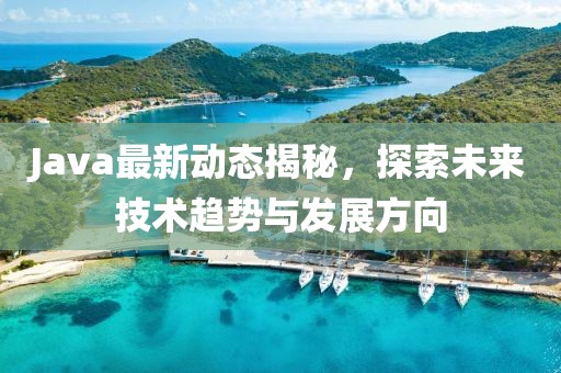 Java最新动态揭秘，探索未来技术趋势与发展方向