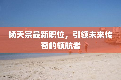 杨天宗最新职位，引领未来传奇的领航者