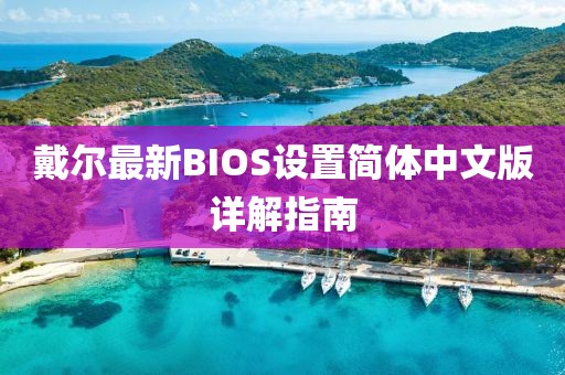 戴尔最新BIOS设置简体中文版详解指南