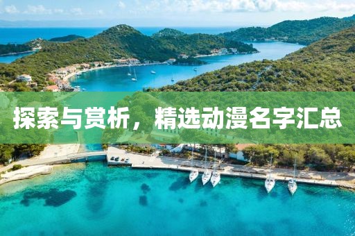 探索与赏析，精选动漫名字汇总