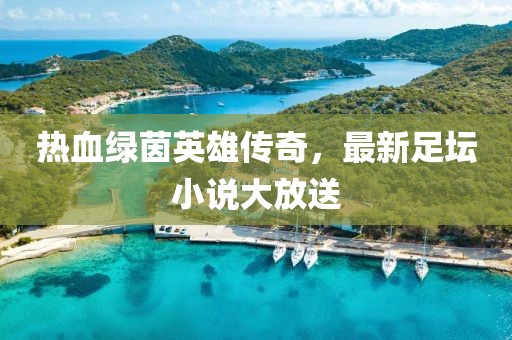 热血绿茵英雄传奇，最新足坛小说大放送