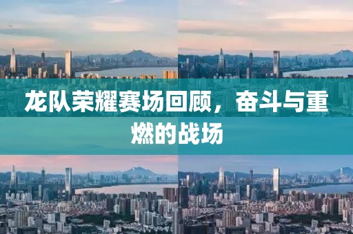 龙队荣耀赛场回顾，奋斗与重燃的战场