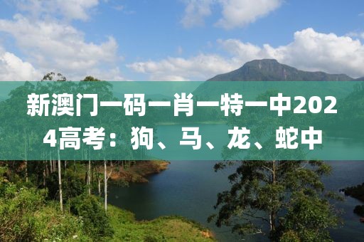 新澳门一码一肖一特一中2024高考：狗、马、龙、蛇中