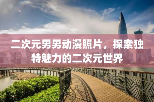 二次元男男动漫照片，探索独特魅力的二次元世界