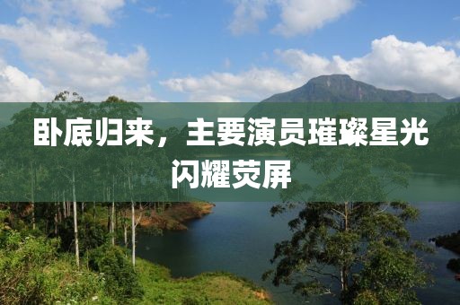 卧底归来，主要演员璀璨星光闪耀荧屏