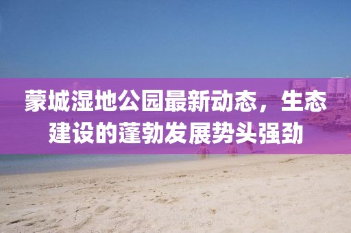 蒙城湿地公园最新动态，生态建设的蓬勃发展势头强劲