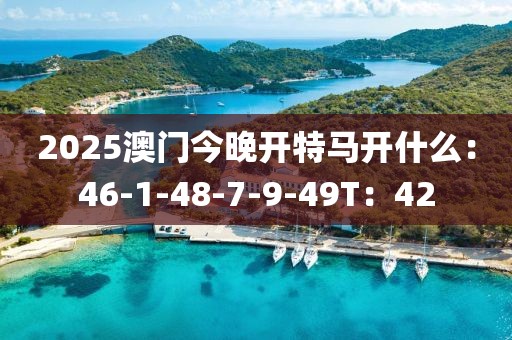 2025澳门今晚开特马开什么：46-1-48-7-9-49T：42