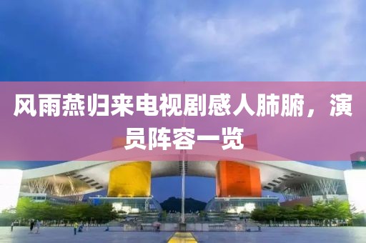 风雨燕归来电视剧感人肺腑，演员阵容一览
