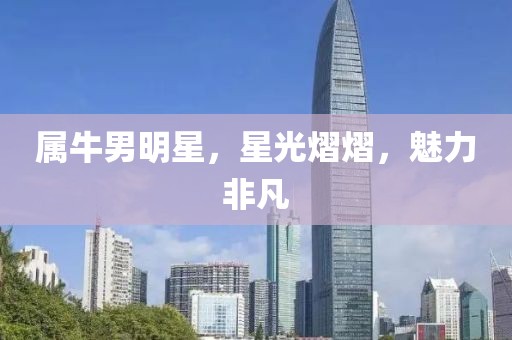 属牛男明星，星光熠熠，魅力非凡