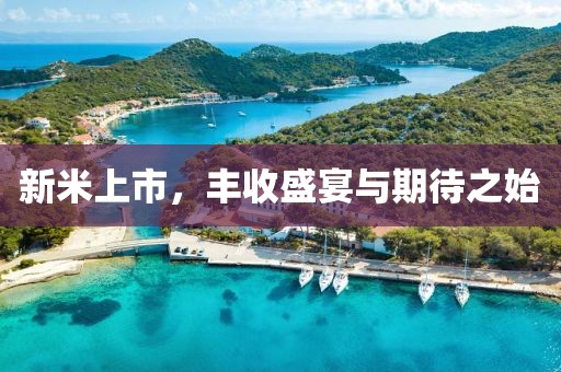 新米上市，丰收盛宴与期待之始