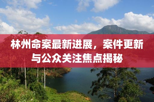 林州命案最新进展，案件更新与公众关注焦点揭秘