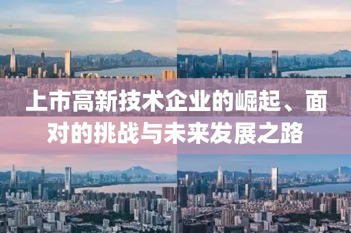 上市高新技术企业的崛起、面对的挑战与未来发展之路