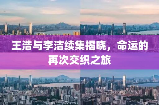 王浩与李洁续集揭晓，命运的再次交织之旅