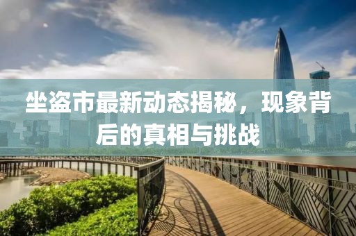 坐盗市最新动态揭秘，现象背后的真相与挑战