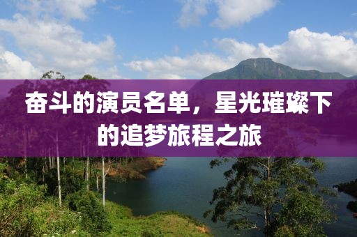 奋斗的演员名单，星光璀璨下的追梦旅程之旅