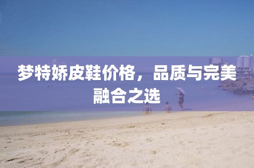 梦特娇皮鞋价格，品质与完美融合之选