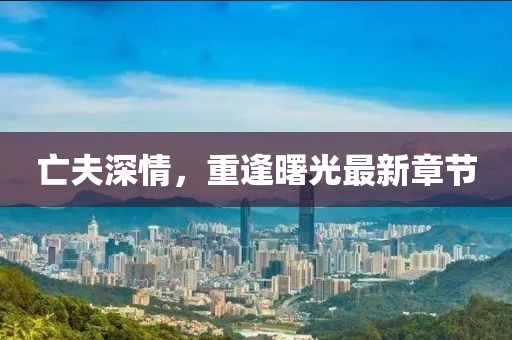 亡夫深情，重逢曙光最新章节