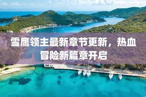 雪鹰领主最新章节更新，热血冒险新篇章开启